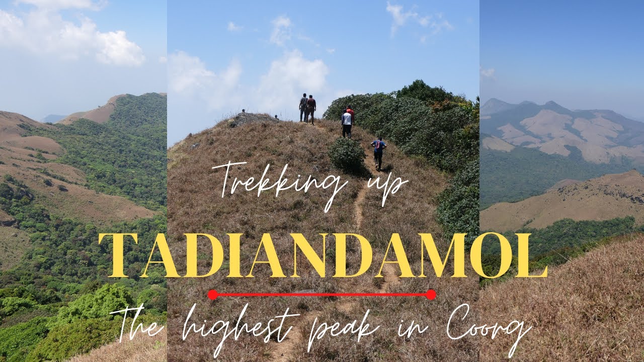 Trekking up Tadiandamol peak, Coorg with Bangalore Mountaineering Club | Feb 2022