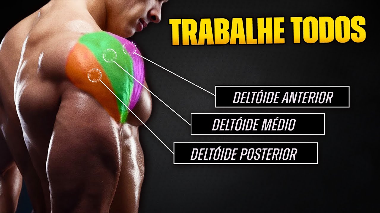TENHA OMBROS ENORMES (O Treino PERFEITO de ombros)