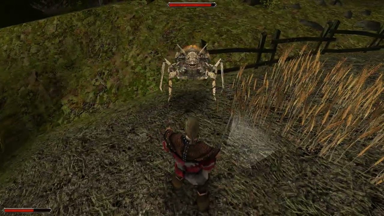 Gothic II + Noc Kruka Walkthrough #24