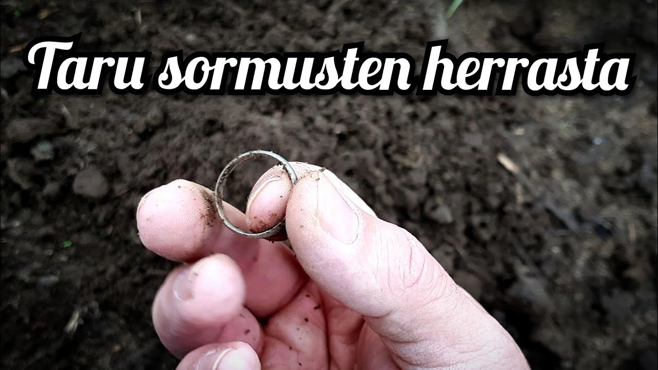 Sormuksia ja muita aarteita pellolta metallinpaljastimella
