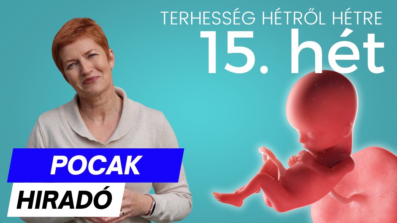 Terhesség 15. hete ∣ Terhesség hétről hétre