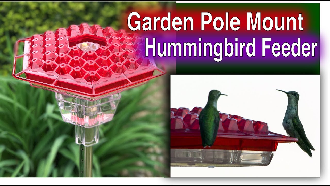 Garden Pole Mount Hummingbird Feeder