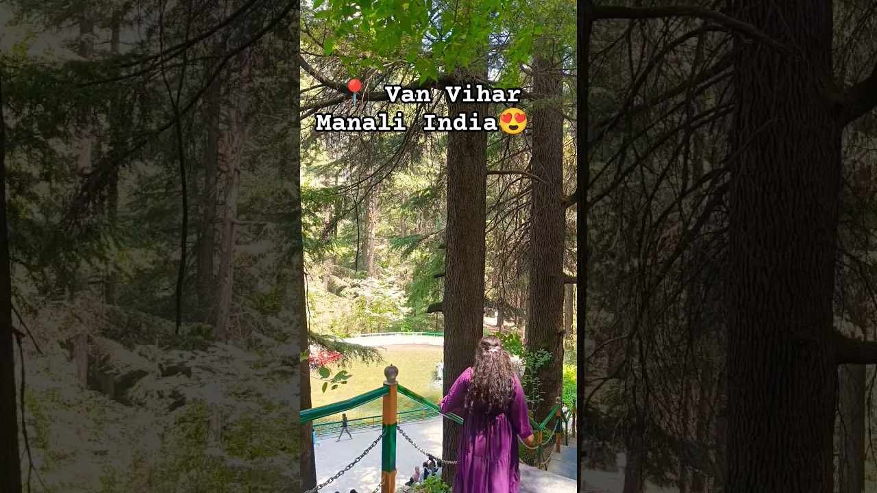 🍁Van Vihar Manali India   #vanvihar #van #vihar  #manali #india