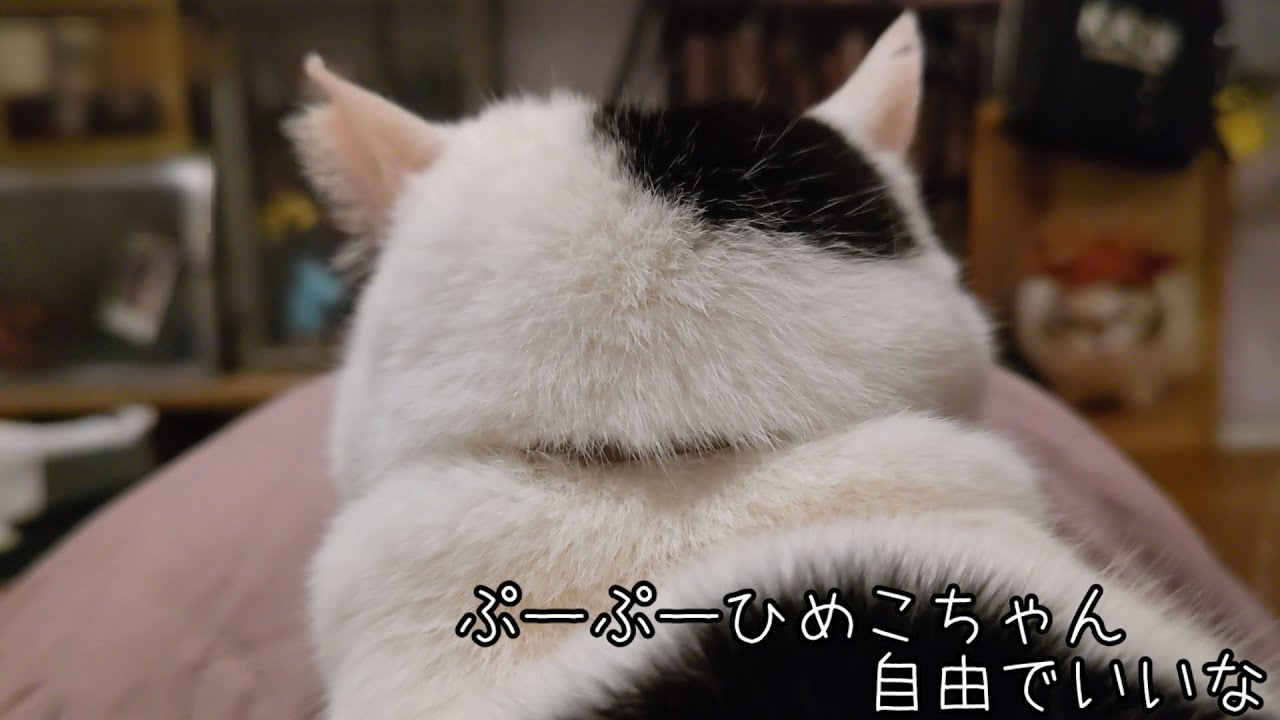 うわさのぷーぷーひめこちゃん〜ひざ奴隷のぼやき再び〜