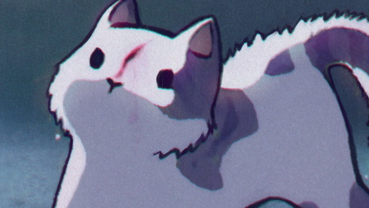 My cat got into a fight