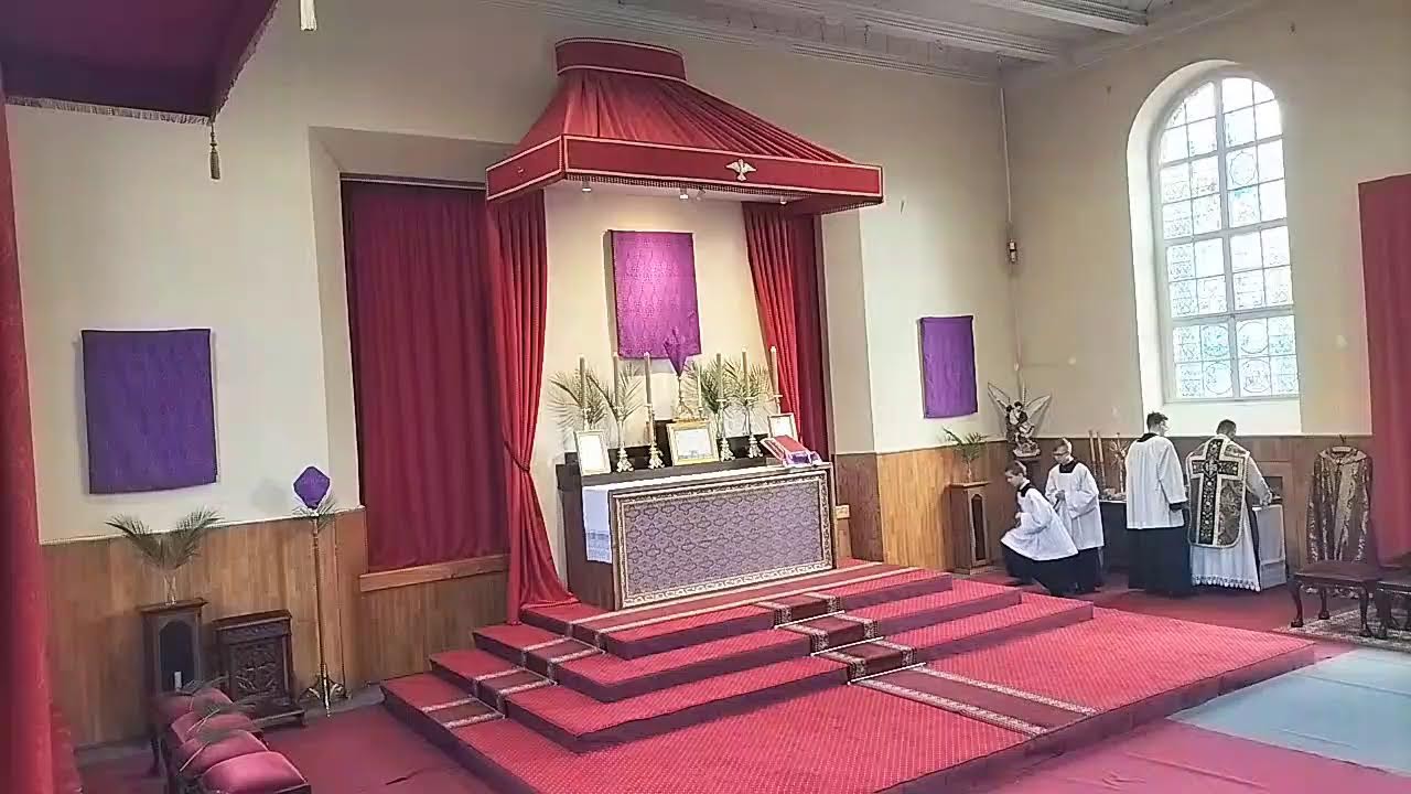 Niedziela Palmowa - Obrzęd Poświęcenia Palm, Procesja, Msza Trydencka  🛑 Na Żywo