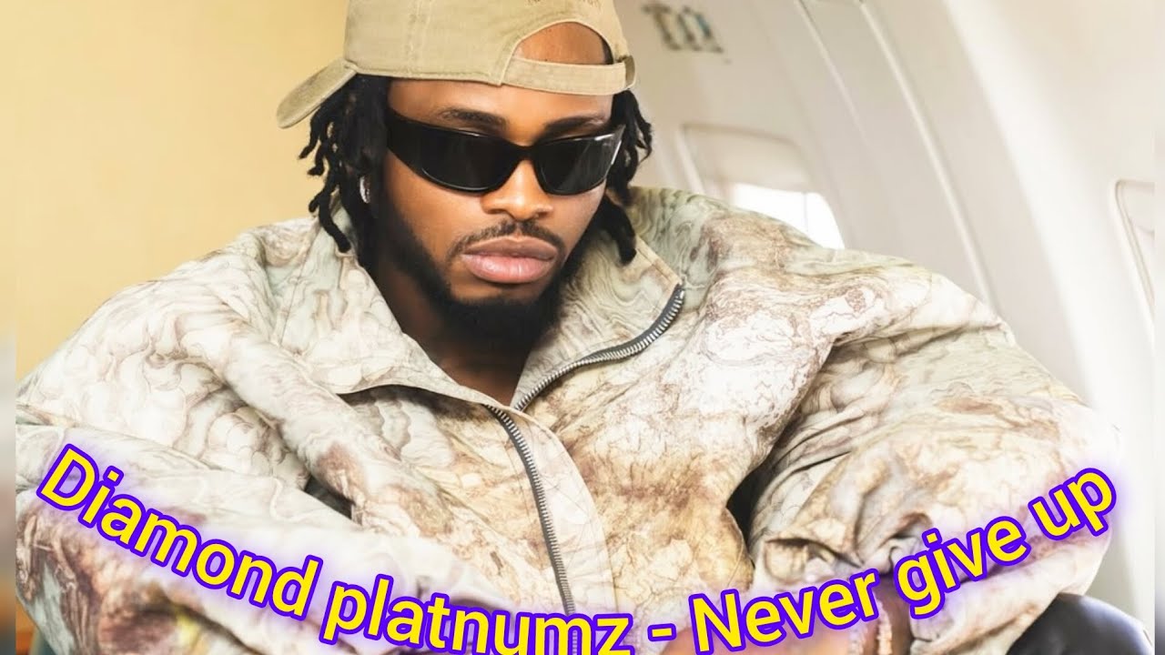 Diamond platnumz - Never Give Up (Official Video)