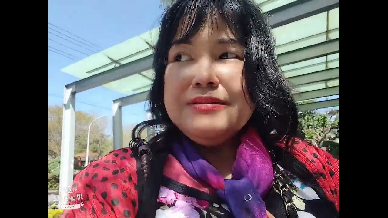 2026年3月16日
