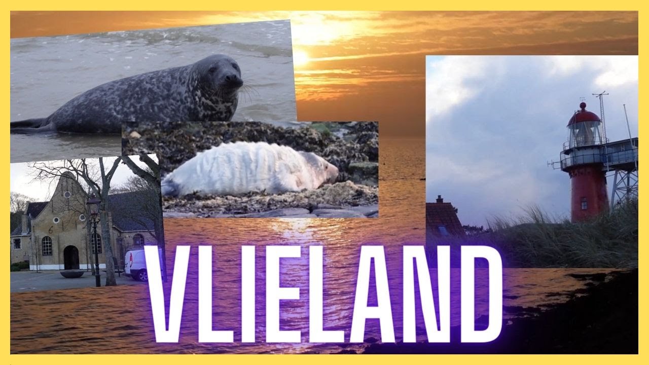 Vlieland - A Complete Impression in 4 minutes