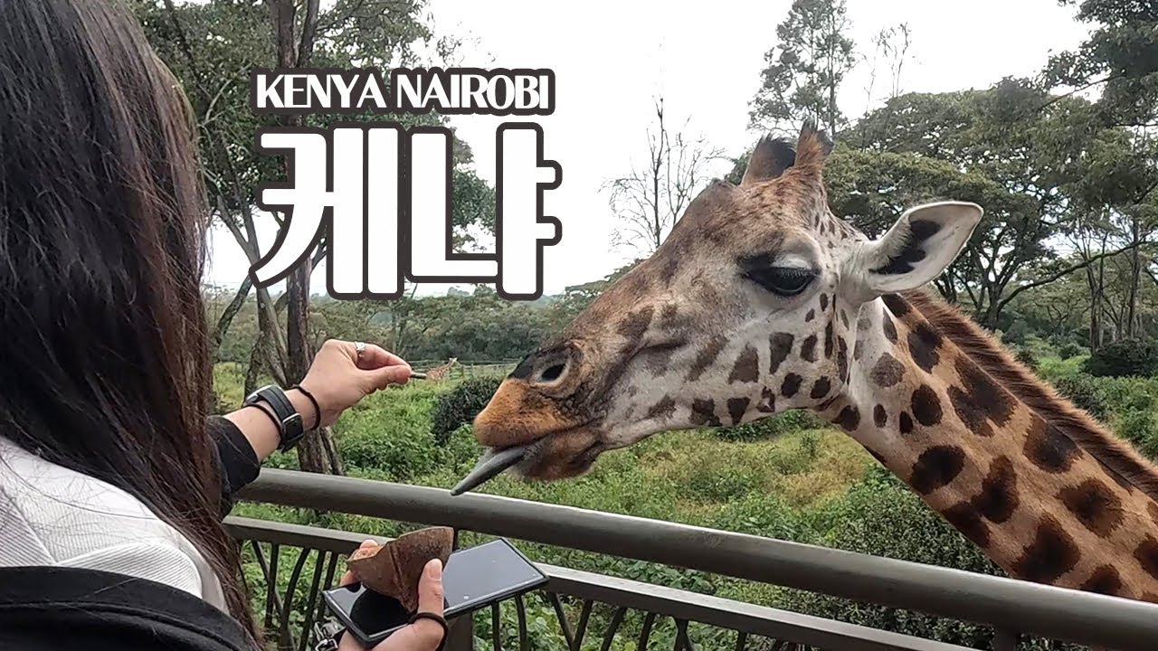 🇰🇪 다사다난한 케냐 나이로비 기린센터 기린 밥주기, 마사이 마켓 구경, 트레블 월렛 이중 결제 이슈까지