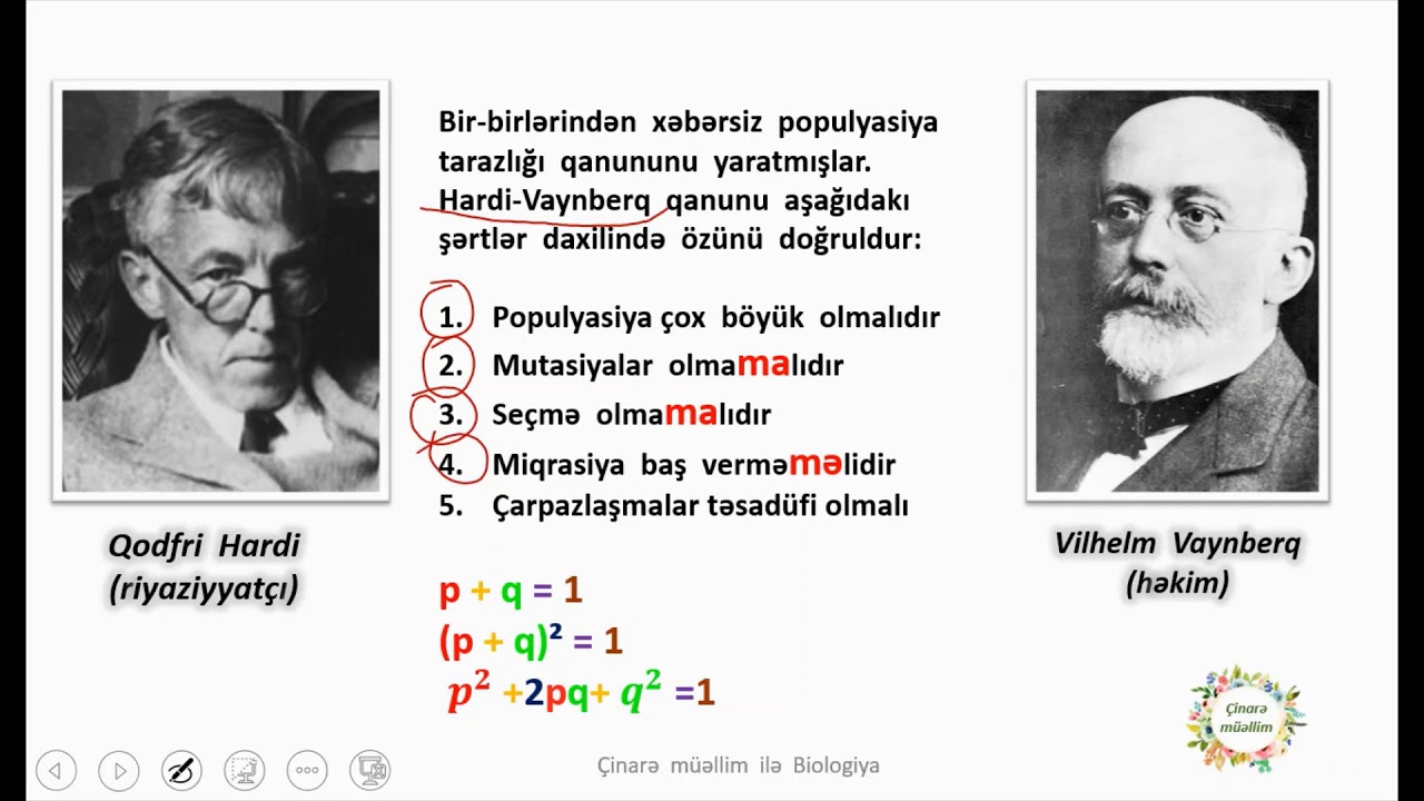 Hardy Weinberg law
