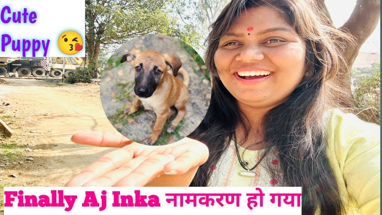 Finally Aaj Inka Namkarn Ho Gaya | Khub Masti Karta Din Bhar #vlog #viral #ghatsila #mypassingday #🦮