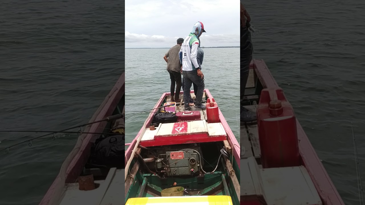 Monster Baracuda 28Kg Muara Badak