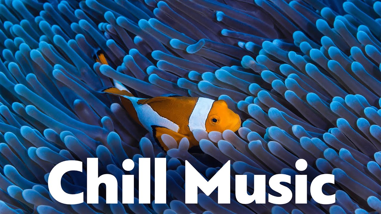 Healing Sleep Music , Sea Sounds , Ocean Music