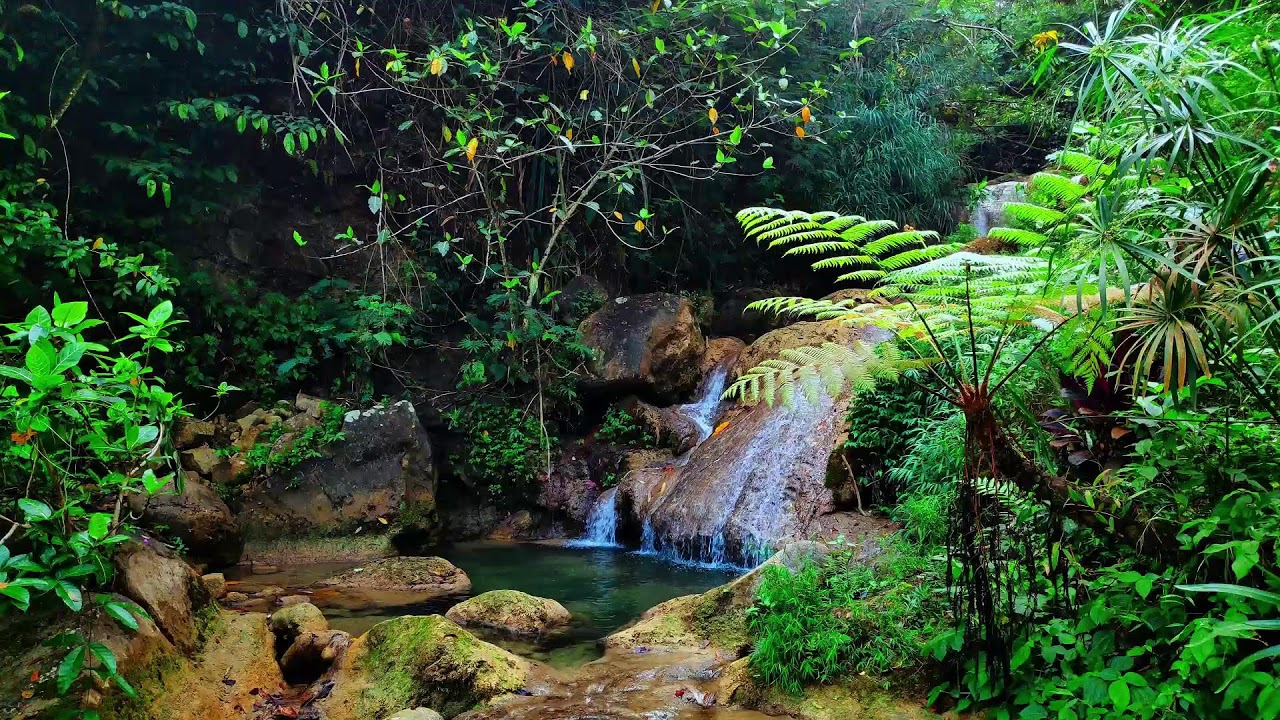 Relaxing River Water Flow for Emotional Therapy and Stress-Free Sleeping