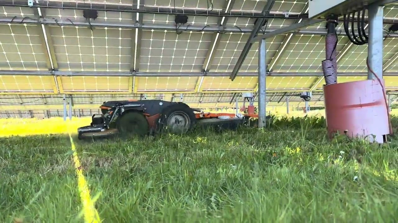 Raymo - vegetation management at solar farms