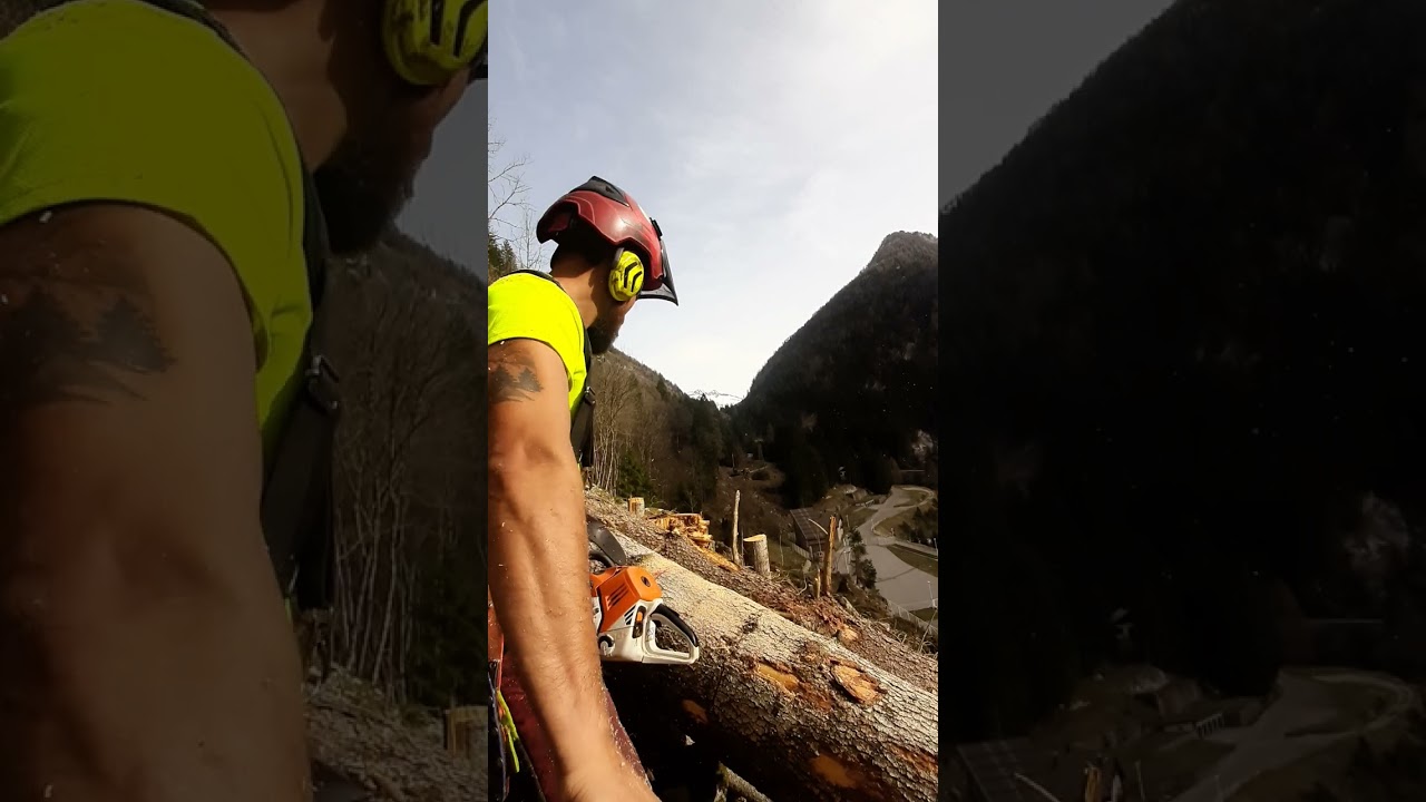 Lavoro in linea di teleferica AZ Forest #logger #lumberjacks #forestlife  #sthill  #vidaloca