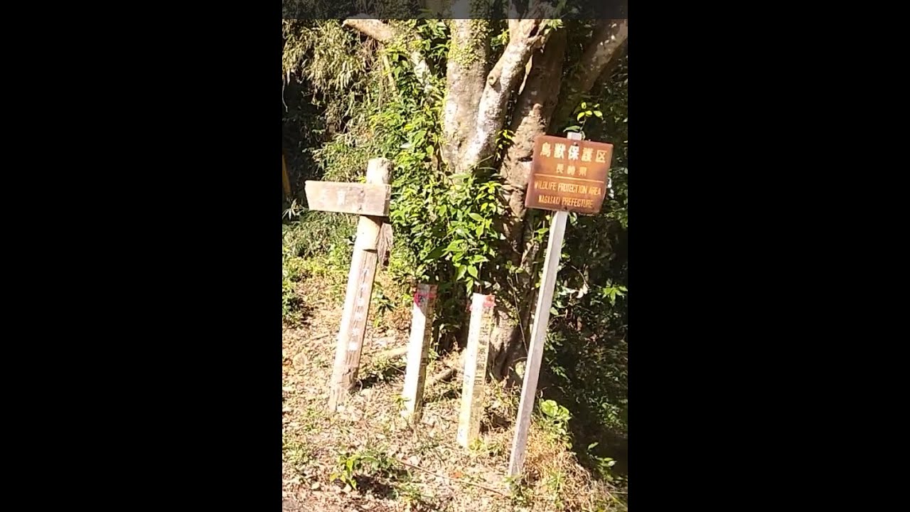 長崎　畝刈トンネル横の側道