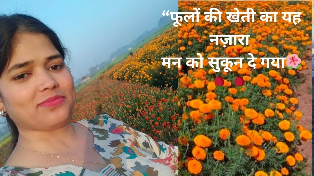“जहाँ नज़र जाए बस फूल ही फूल… दिल खुश हो गया 🌼”
