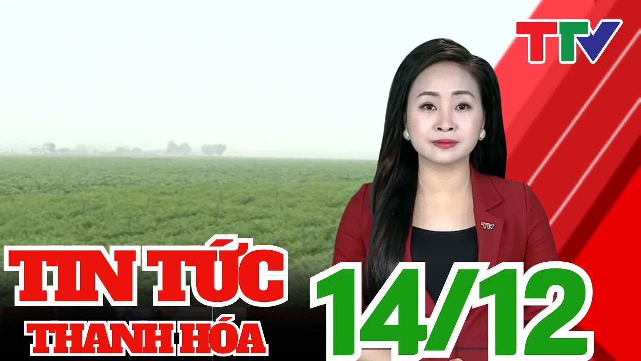NĂM 2025, THANH HÓA TÍCH TỤ ĐƯỢC 4474 HA ĐẤT NÔNG NGHIỆP | Thanh Hóa TV