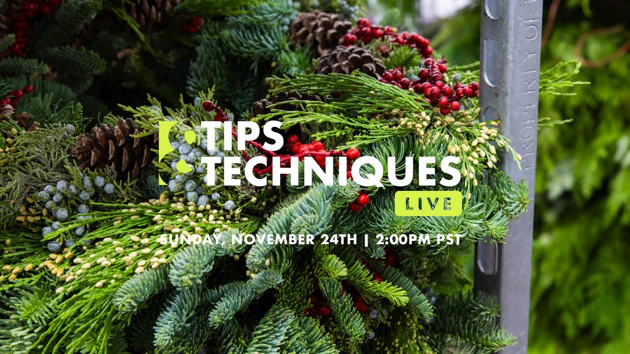 WHAT DOES IT TAKE TO MAKE A GREAT HOLIDAY WREATH? Tips & Techniques LIVE! with Hitomi Gilliam