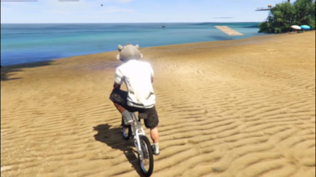 PS5 -BMX_Renewalism 2 (spakazivar)