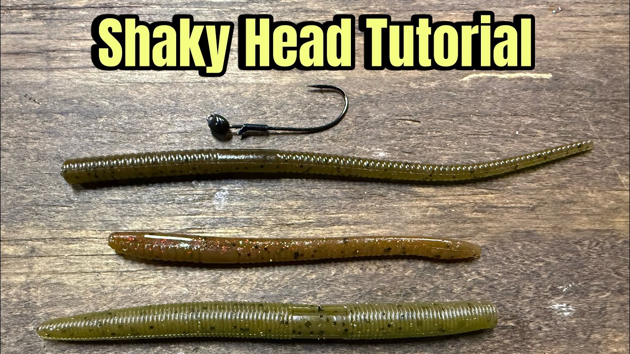 Advanced Shaky Head Tricks For Early Spring Bass Fishing…