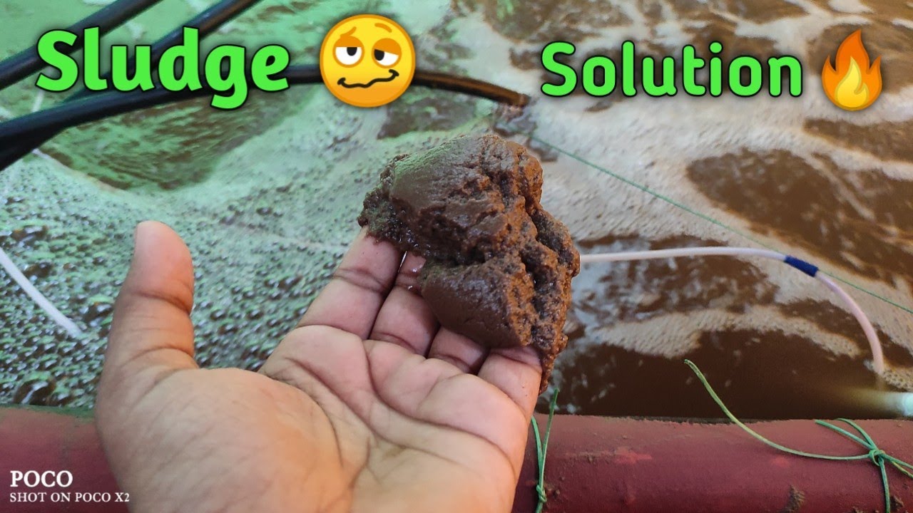 Biofloc Sludge Solutions 🔥🔥 Biofloc Fish Farming India