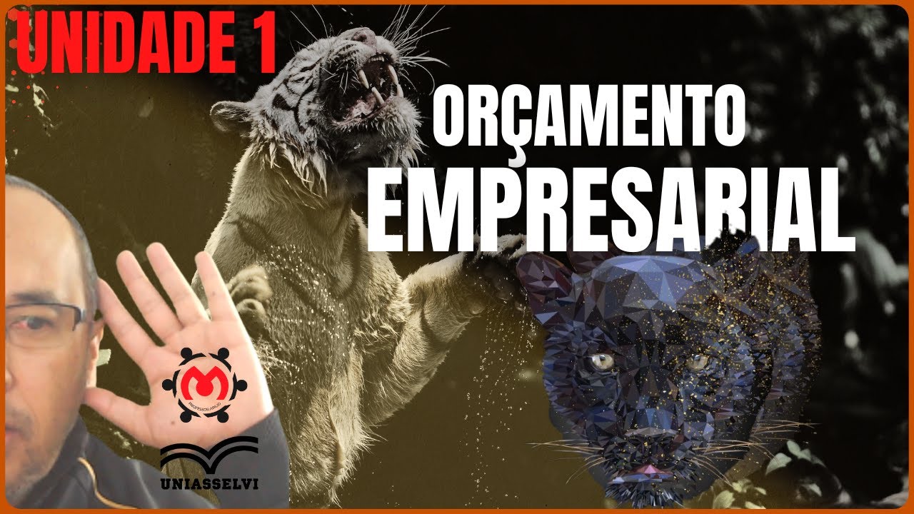 1 класс? Бизнес-бюджет ? UNIASSELVI Ead