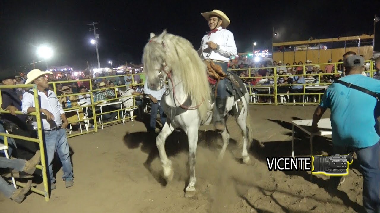 Concurso De Caballos bailadores Expo Feria El Gallo Cutzamala GRO 21 Marzo 2019 8
