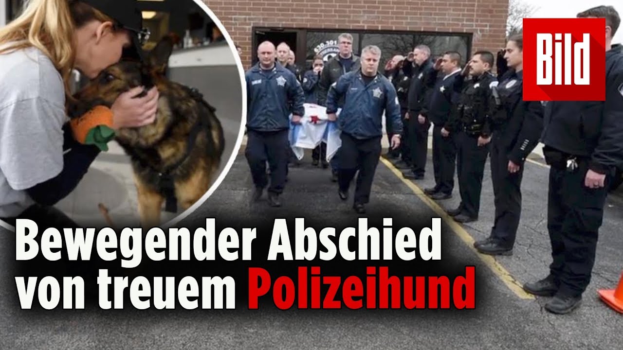 Die Kollegen von Polizeihund Brix begleiten ihn auf seinem letzten Gang