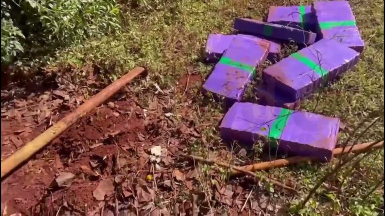 Dise apreende meia tonelada de maconha no Parque Avelino