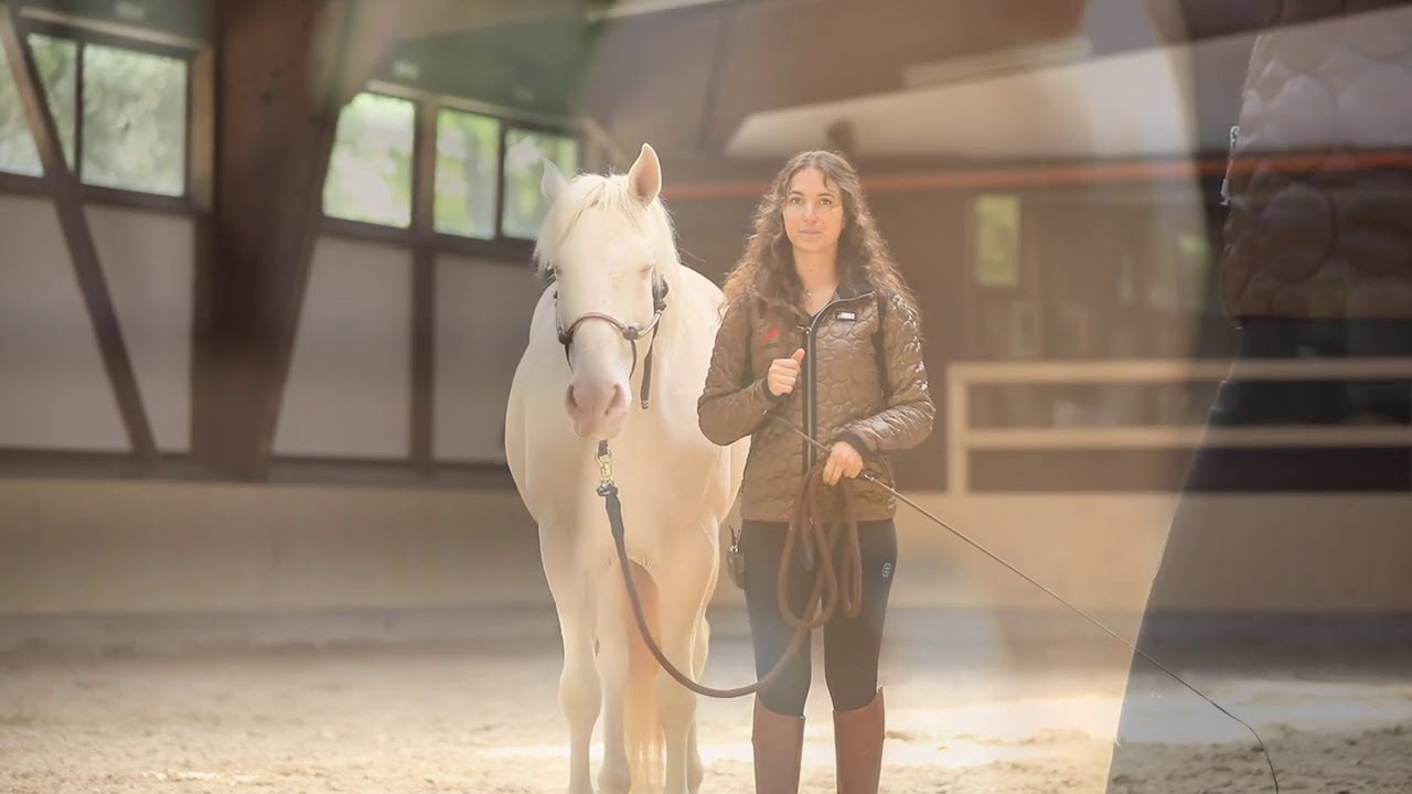 What could you do if your horse runs away