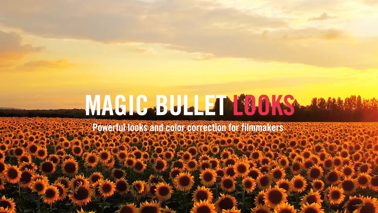 Magic Bullet Looks 4 Hero