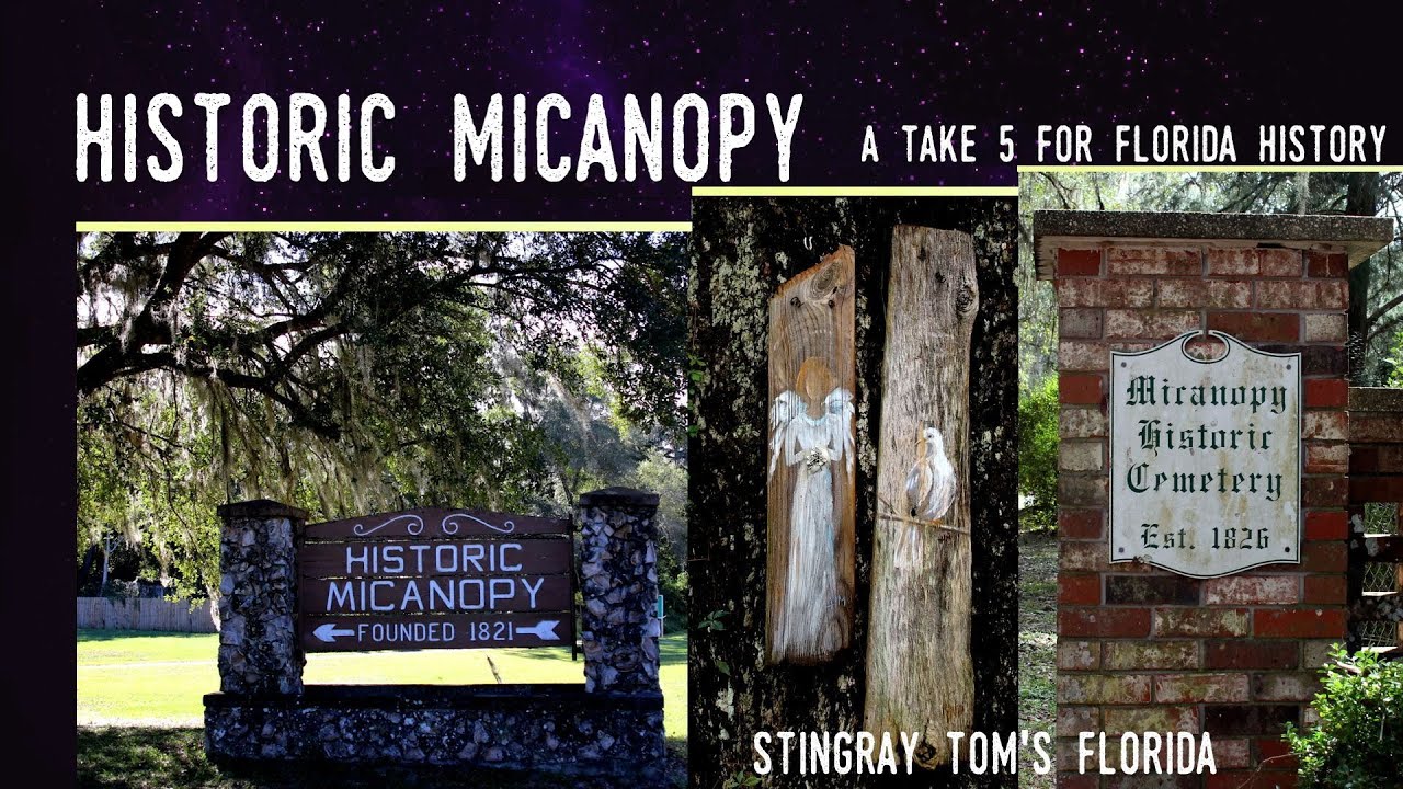 Historic Micanopy & Its Cemeteries: A Take 5 For Florida History 26   (pet cemetery)
