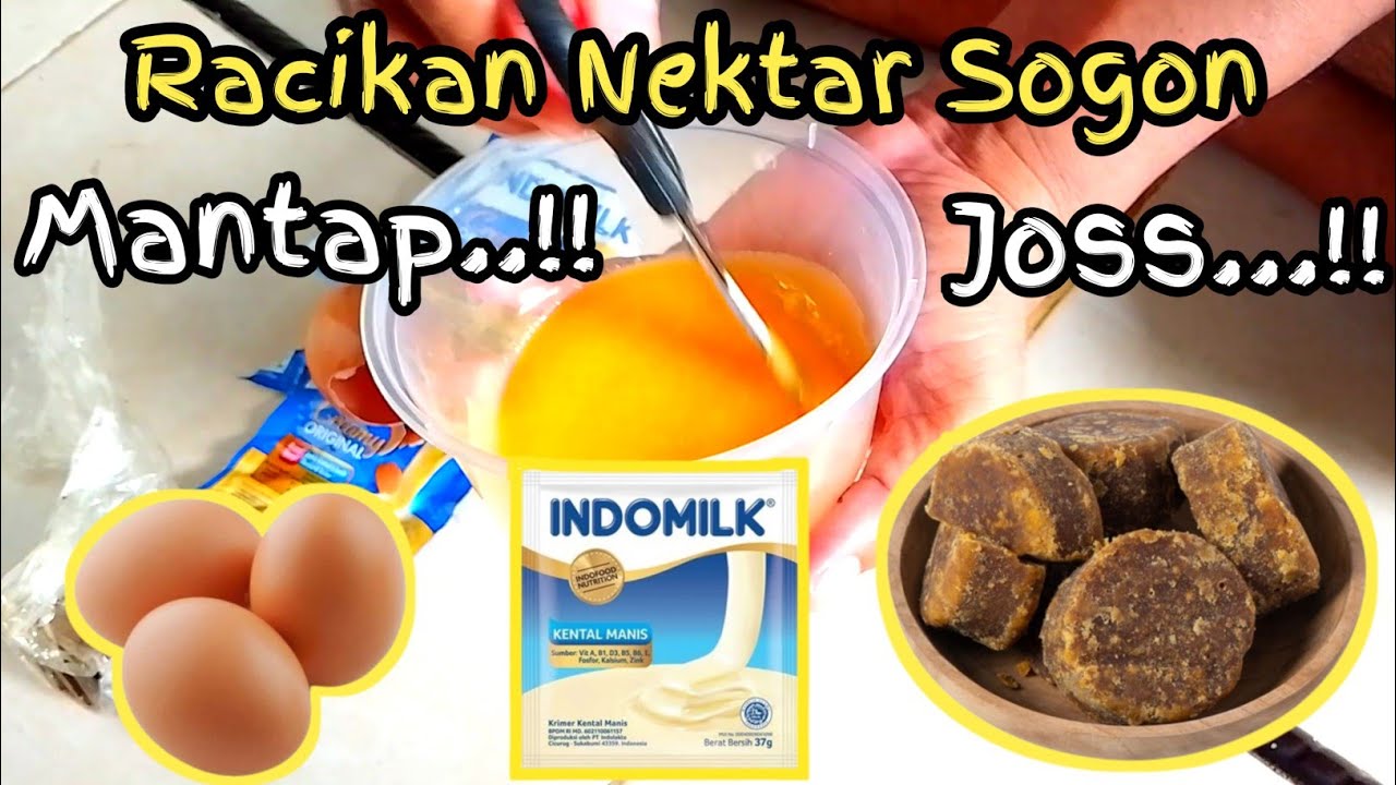 PAKAN NEKTAR SOGON TANPA SIRUP ANTI NYILET DAN PASTI BIKIN SOGON GEMUK DAN GACOR