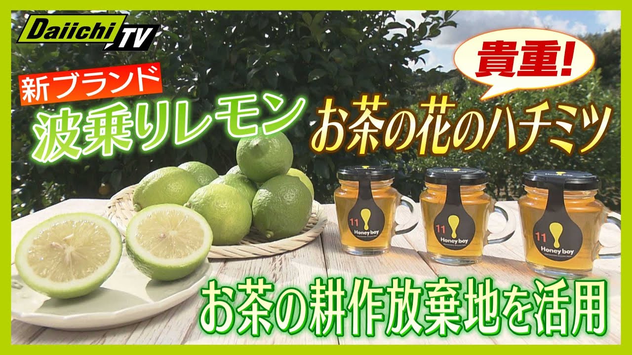 【再生活用】茶畑の耕作放棄地で新たな農産物づくりの取り組み…“特産品”育成へ期待も（静岡･牧之原市）