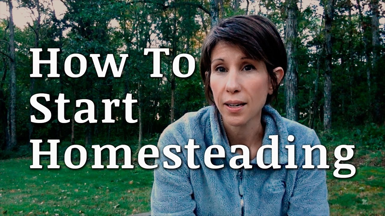 How We Started Homesteading