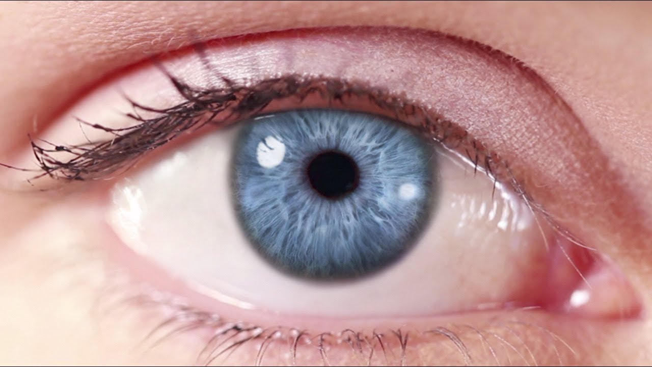 CHLA Vision Gene Therapy to Treat Congenital Blindness