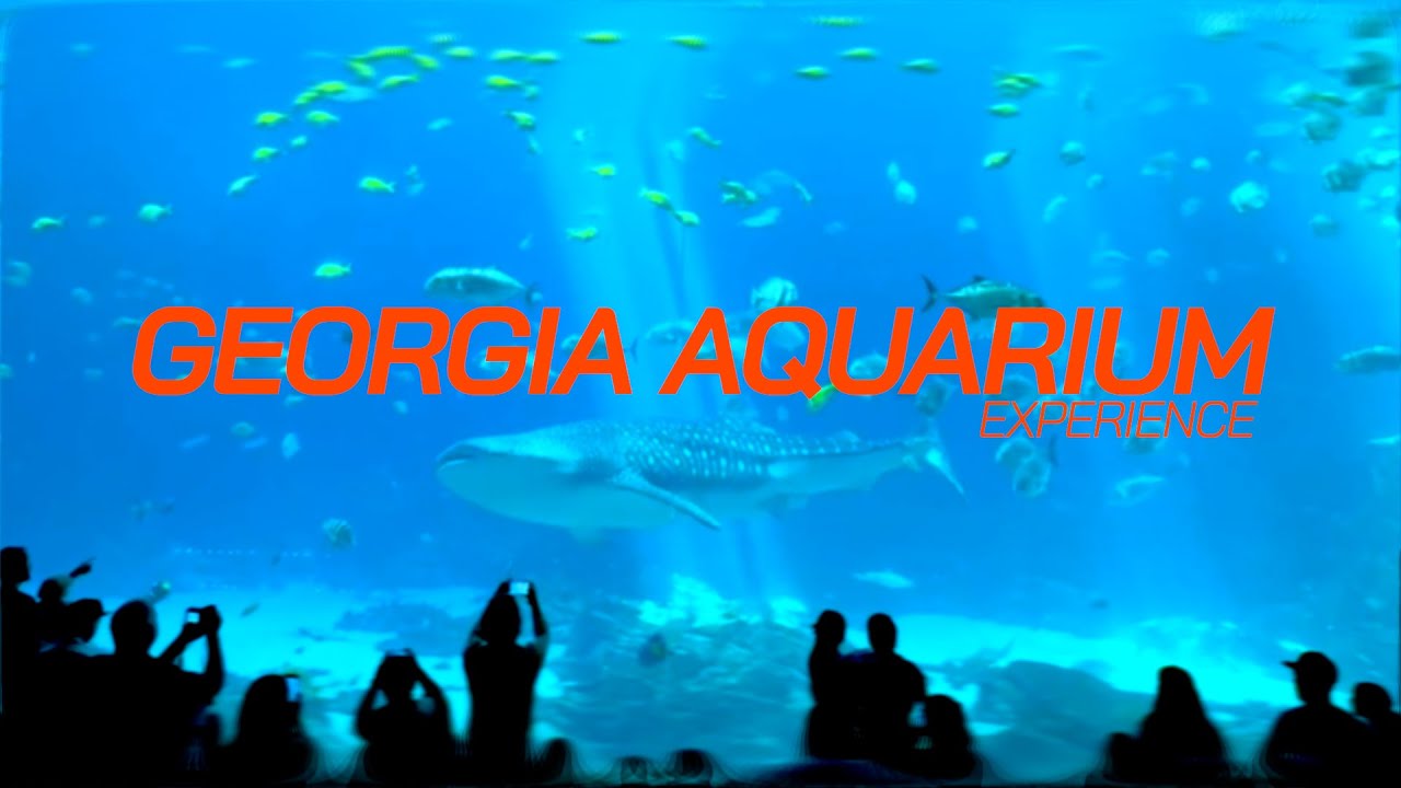 Georgia Aquarium Experience (EP.051)