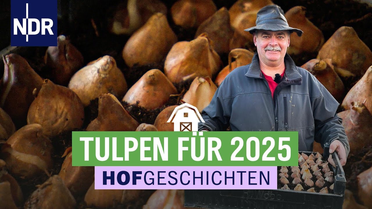 Vorbereitungen für die Tulpensaison | Hofgeschichten: Leben auf dem Land (308) | NDR