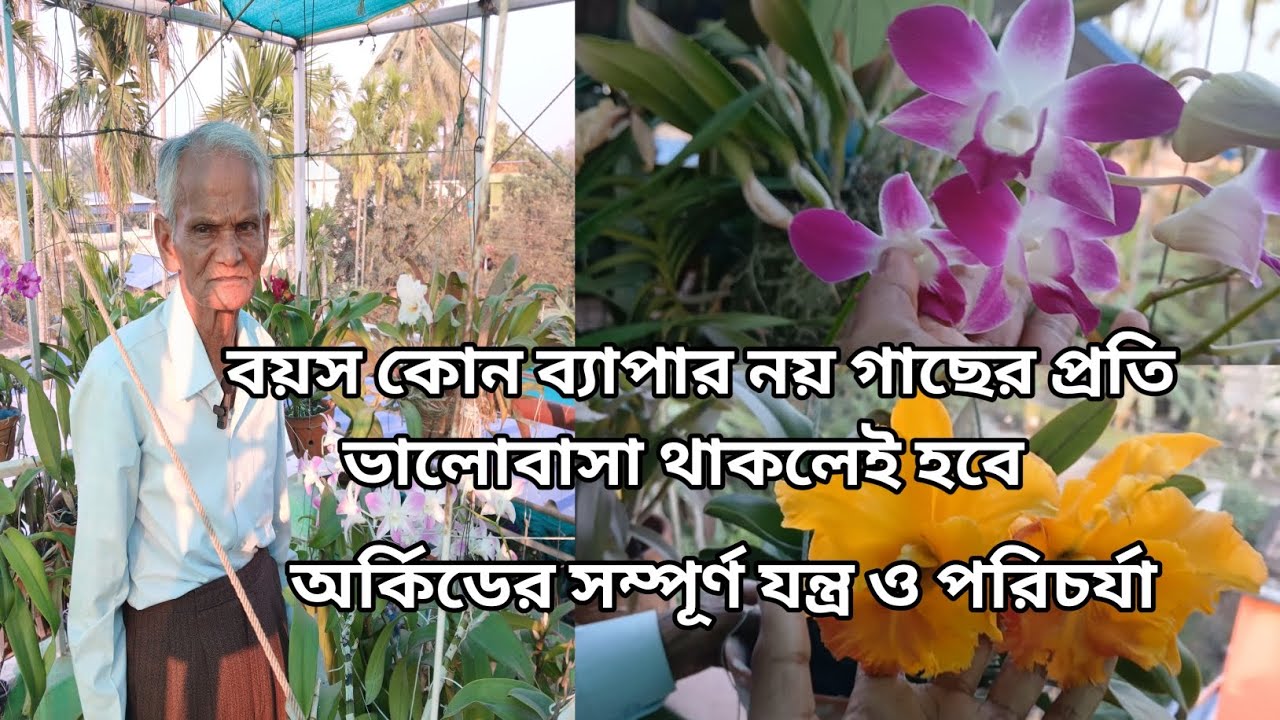 বয়স কোন ব্যাপার নয় গাছের প্রতি ভালোবাসা থাকলেই হবে #youtubevideos