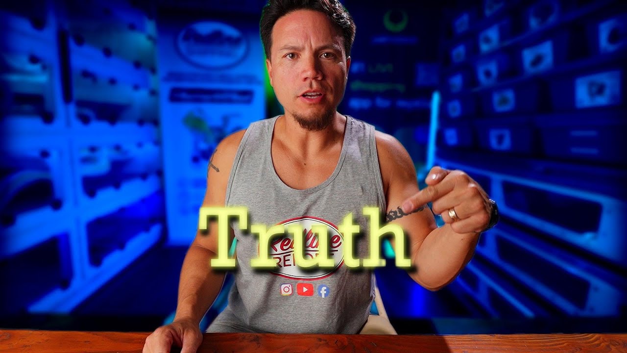 🐍 Will Palmstreet RUIN the Reptile Hobby?? Let’s Get Real. 🦎