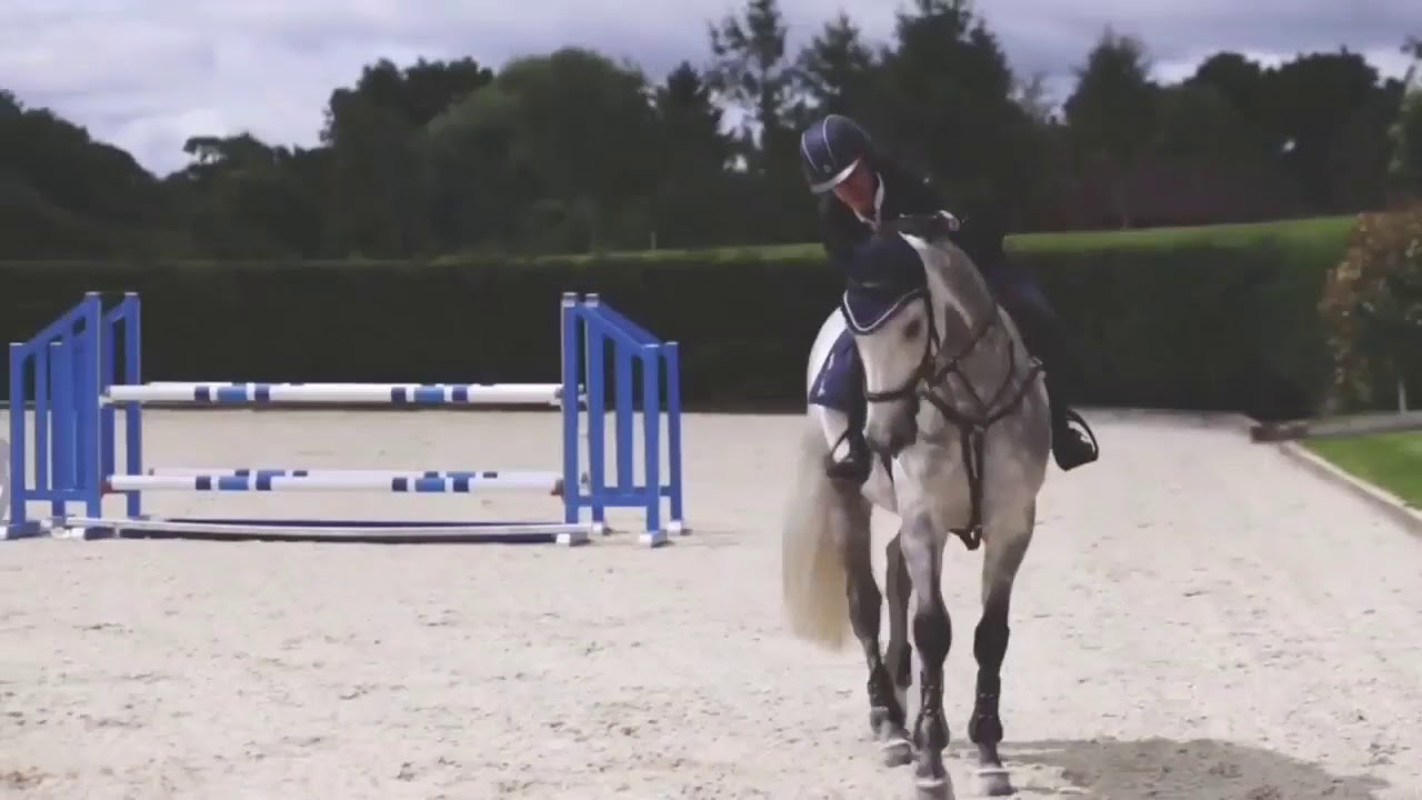 Home with you | equestrian MV
