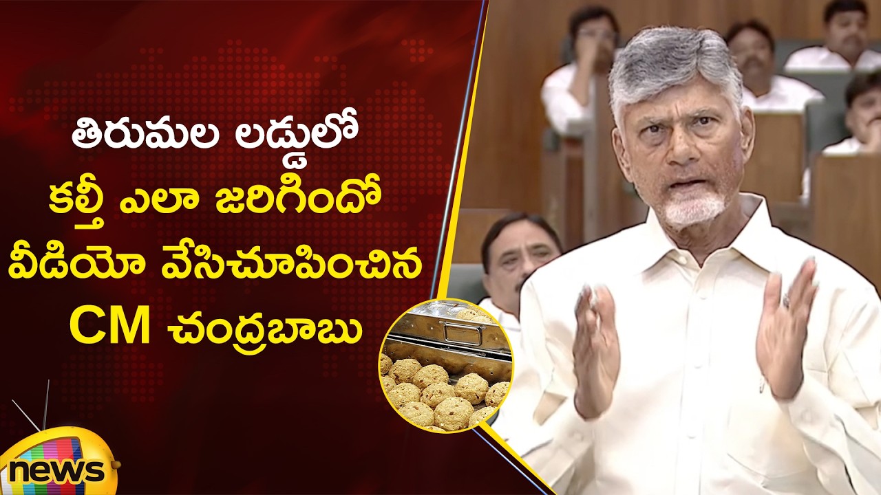 CM Chandrababu Reveals Video on Tirumala Laddu Issue in Assembly | TDP Vs YCP | AP Politics