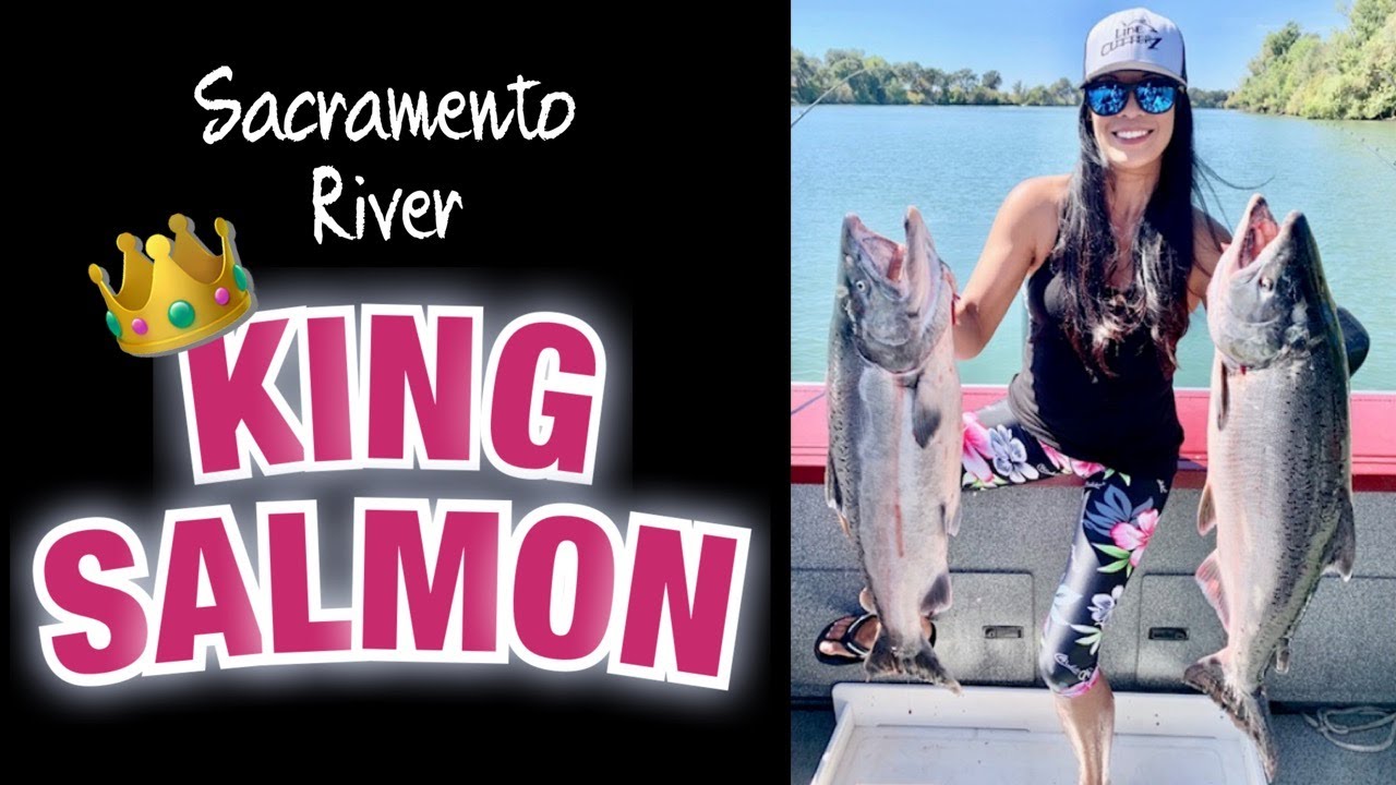 STACY BATTLES KING SALMON 👑 - Red Hot Sacramento River Salmon Fishing + Bonus Bank Fishing Tips! 🎣