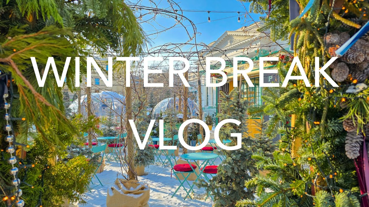 Chișinău, Moldova | how I started 2026 | finals prep | book reading | night snow walk | law practice