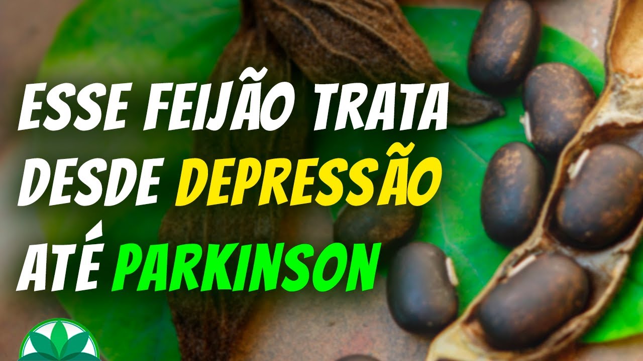 Conhece a semente afrodis&iacute;aca e da motiva&ccedil;&atilde;o? Aprenda a usar