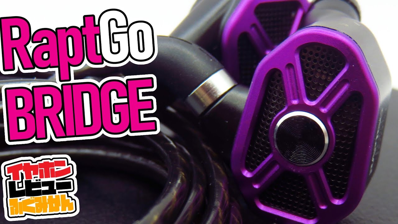 Raptgo Bridge / スイッチとフィルターで二重チューン！なトライブリッド / 1PST+2BA+2DD 有線イヤホン