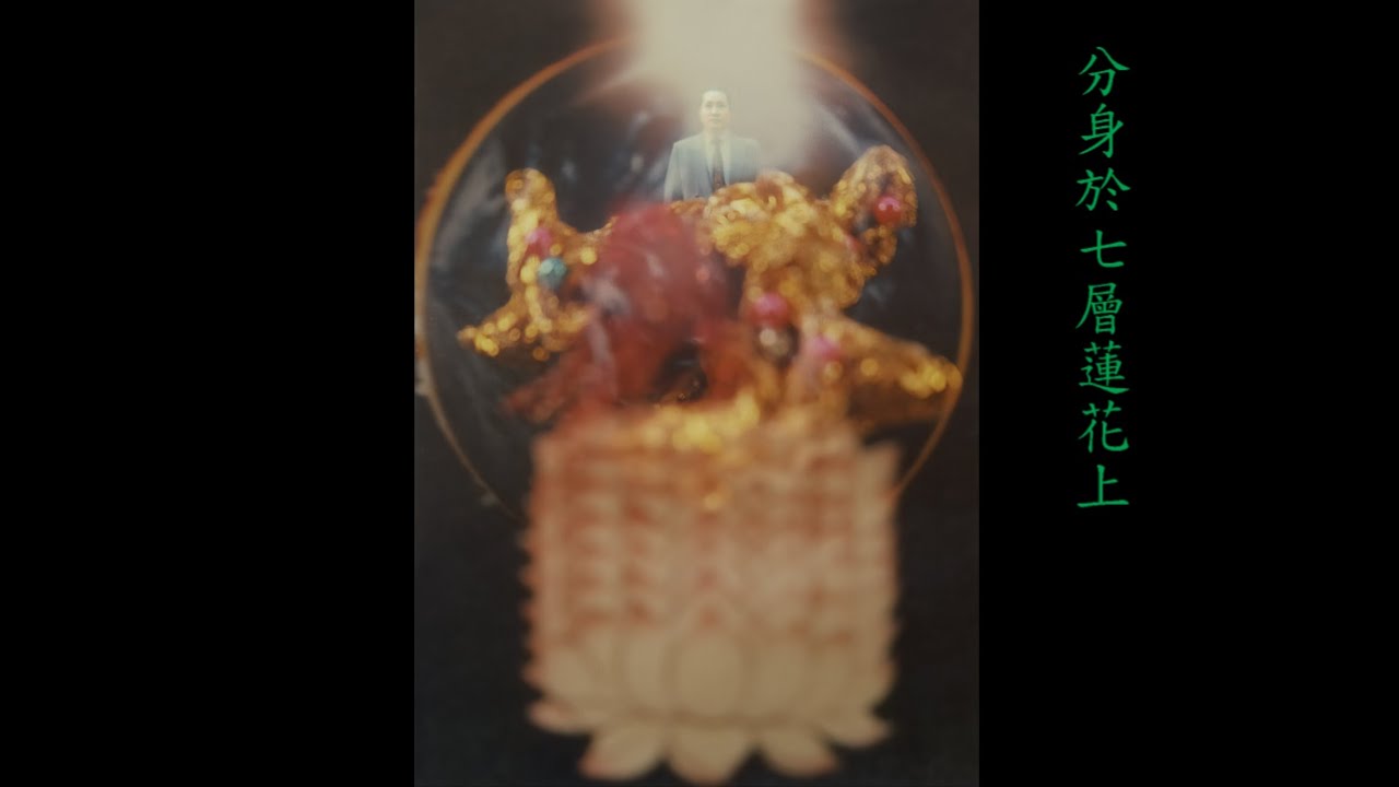 【實相觀無量壽】-【宋七力主講】
